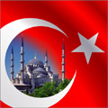トルコ ボンド オープン 毎月決算型 大和アセットマネジメント株式会社