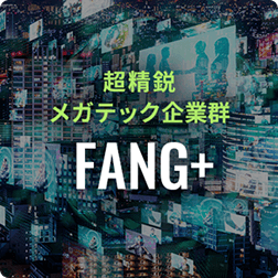 iFreeレバレッジ FANG+のロゴ