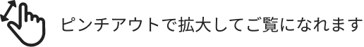 ピンチアウトで拡大してご覧になれます