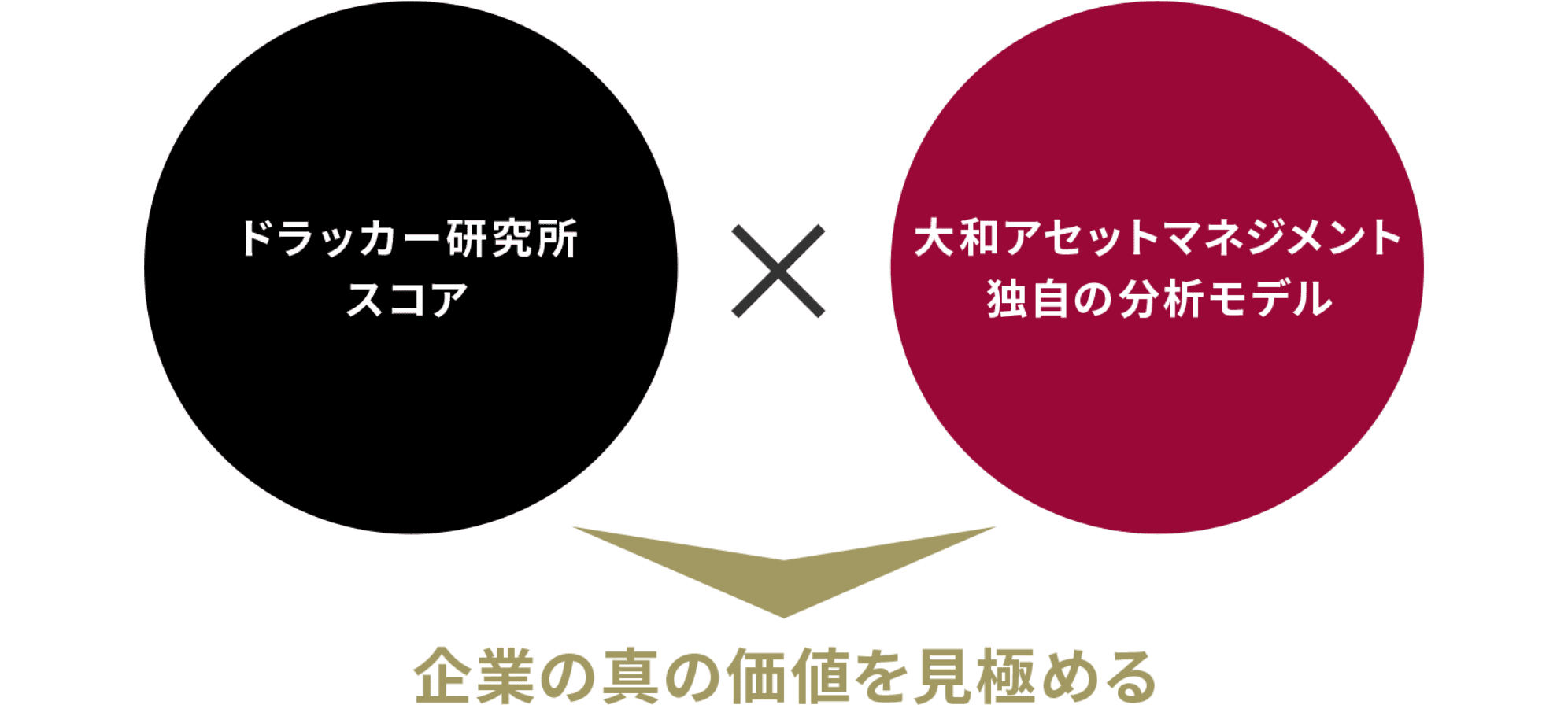 収益の源泉として投資対象に適した独自の分析モデルを組み合わせる