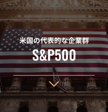 米国の代表的な企業群 S&P500