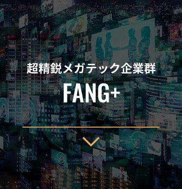 超精鋭メガテック企業群 FANG+