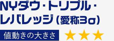 NEW NYダウ・トリプル・レバレッジ（愛称3σ） ★★★