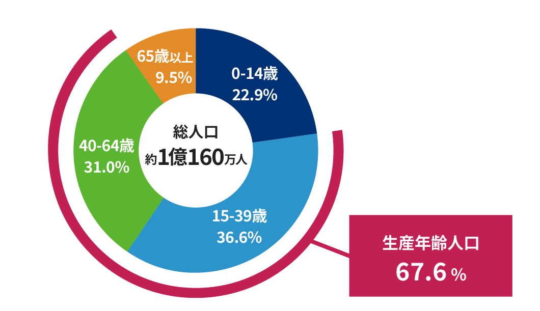ベトナムの年齢別人口構成比率 グラフ