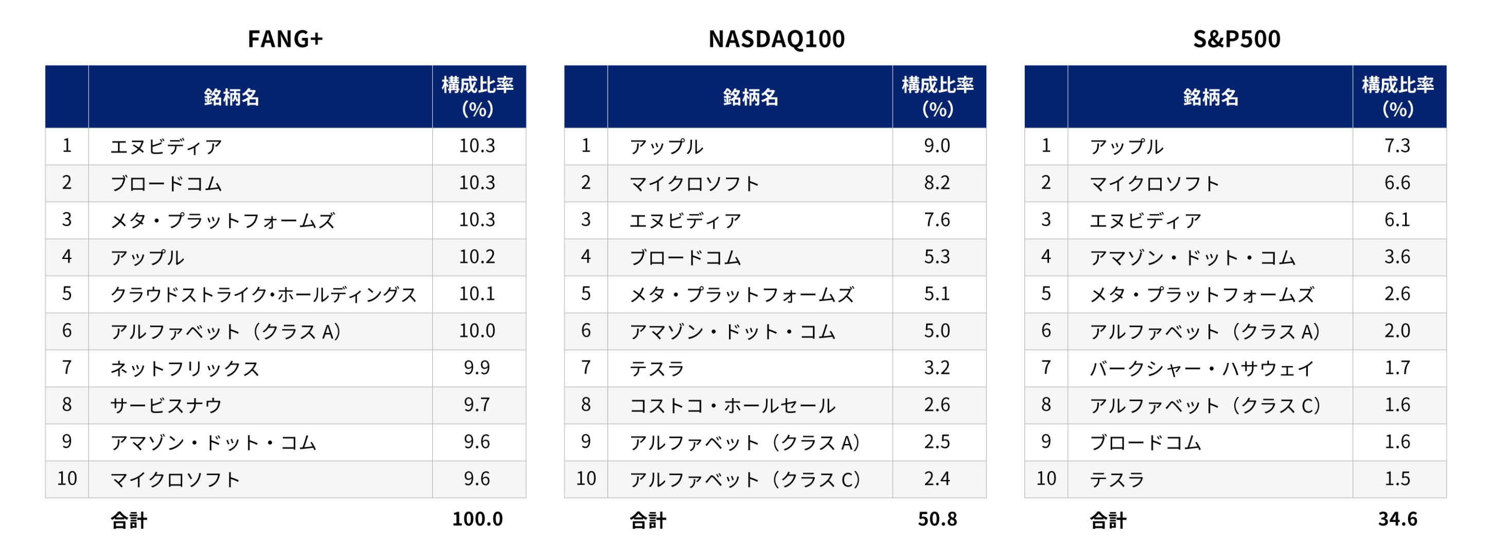 FANG+ NASDAQ100 S&P500